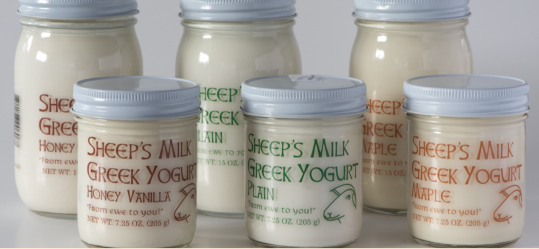 Mohawk Drumlin Creamery Sheep's Milk Greek Yogurt is available in Whole Foods Markets and specialty food stores throughout New York State
